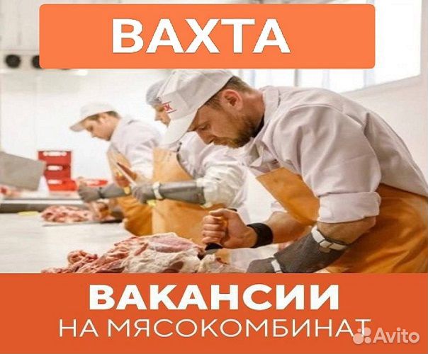 Разнорабочие на мясокомбинат/Воронеж без опыта