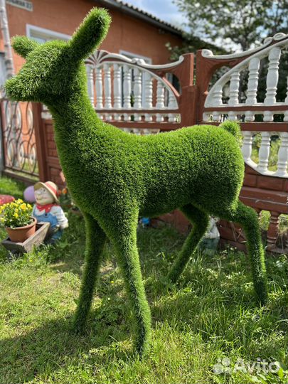 Фигура из топиари