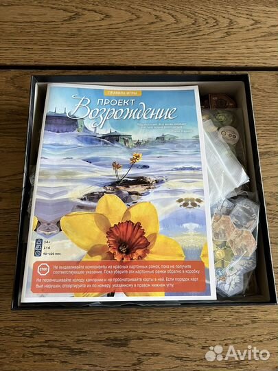 Проект возрождение