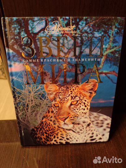 Книга подарочное издание. Звери мира