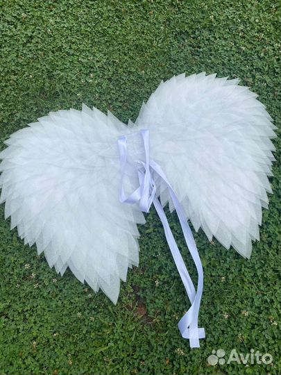 Крылья ангела аренда
