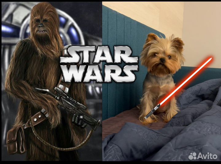 Йоркширский терьер вязка