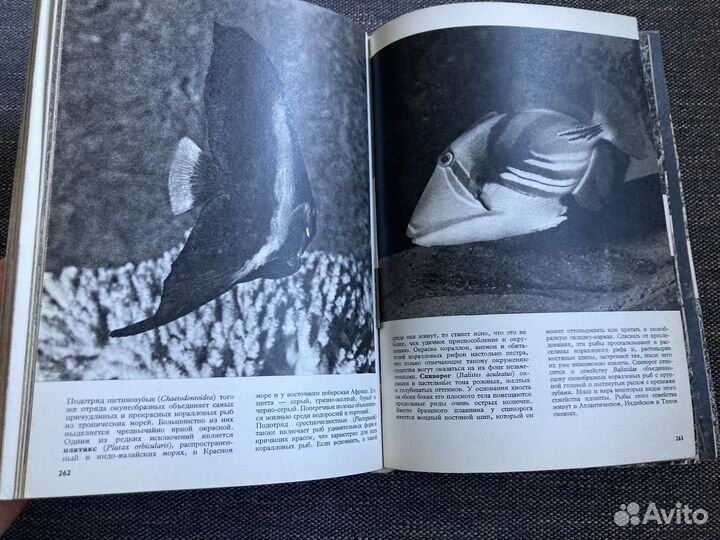 Иллюстрированная энциклопедия животных