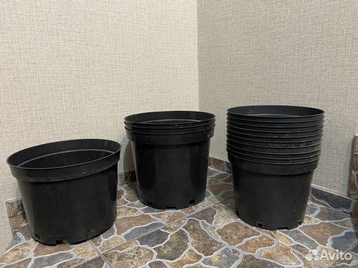 Горшки для саженцев