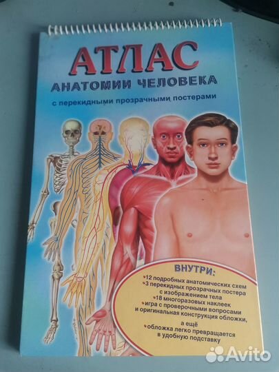 Атлас анатомии человека