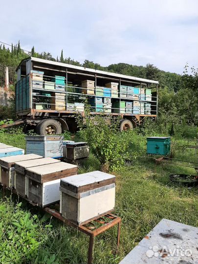 Прицеп пчеловоз, 2008