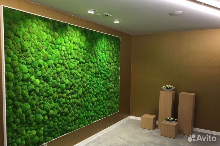 Стабилизированный мох-мох в интерьере