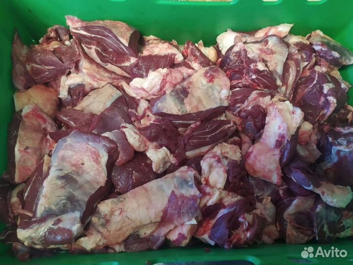 Фарш,котлетное мясо говядины на пельмени