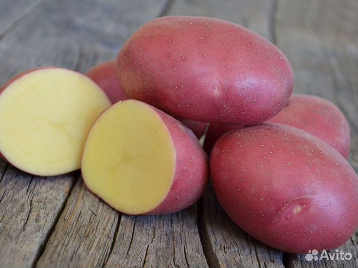 Картофель средний