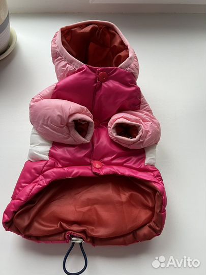 Куртка для маленькой собаки