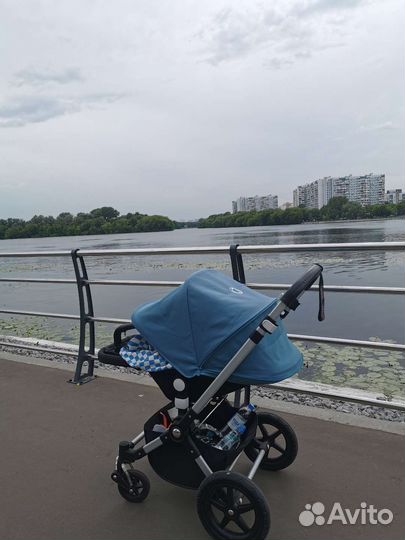 Коляска 2 в 1 bugaboo cameleon 3