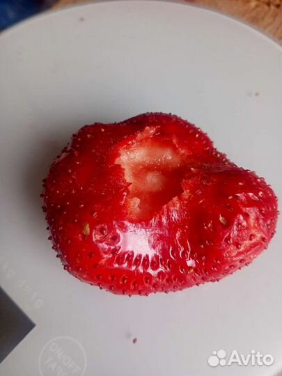 Саженцы (рассада) клубники