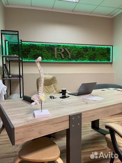 Услуги озеленения