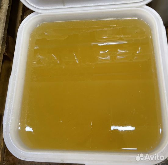 Продам мед оптом в кубах