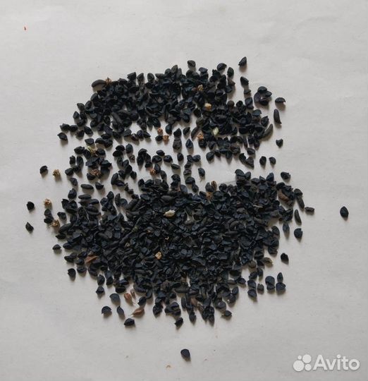 Семена лука 