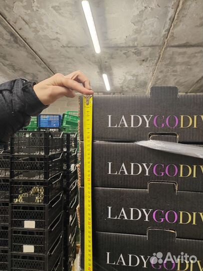 Ящик для хранения овощей