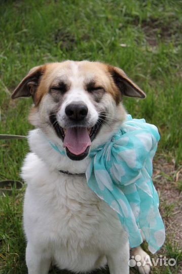 Горящее сердце светит