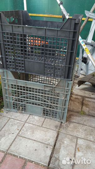 Пластиковые ящики для овощей б. у