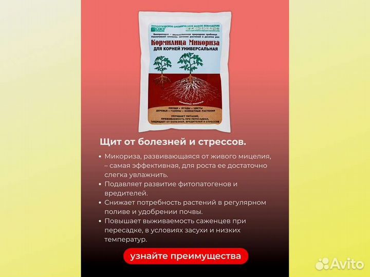 Кормилица Микориза