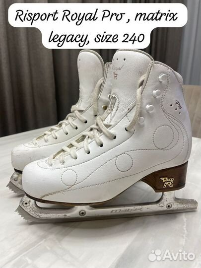 Risport Royal pro, size 240
