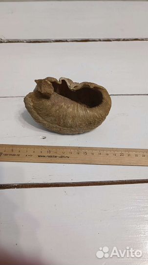 Ухо кашелота, сувенир СССР