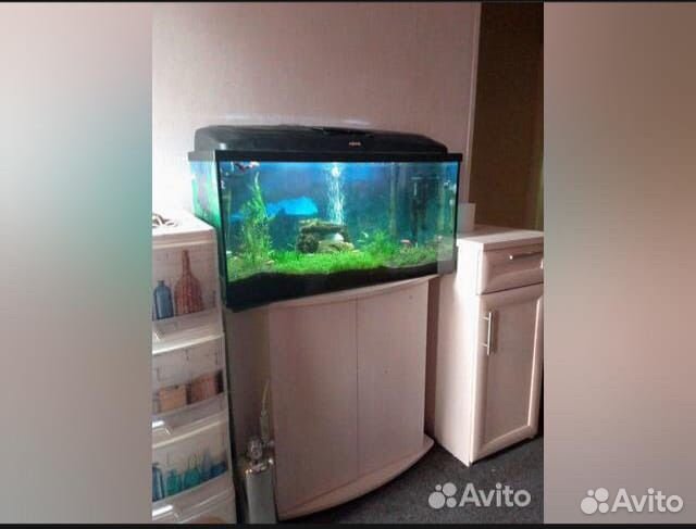 Аквариум 75 aquael