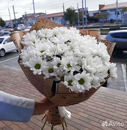 Хризантема Доставка цветов Букеты