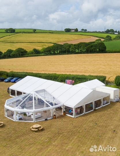 Шатры день поля 2024