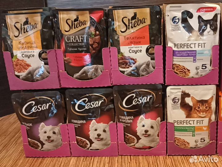 Влажный корм для кошек и собак