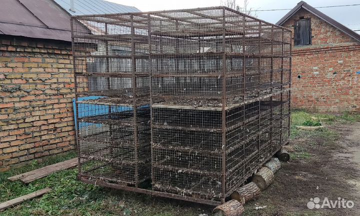 Клетка для перевозки кур цыплят утят птиц