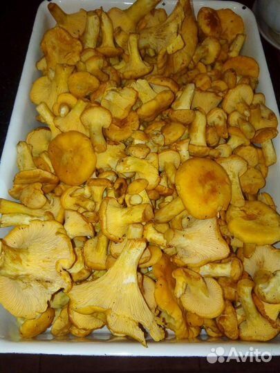 Чеснок, салат, крыжовник, черника