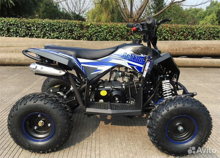 Детский квадроцикл 70 кубов Motax Gekkon