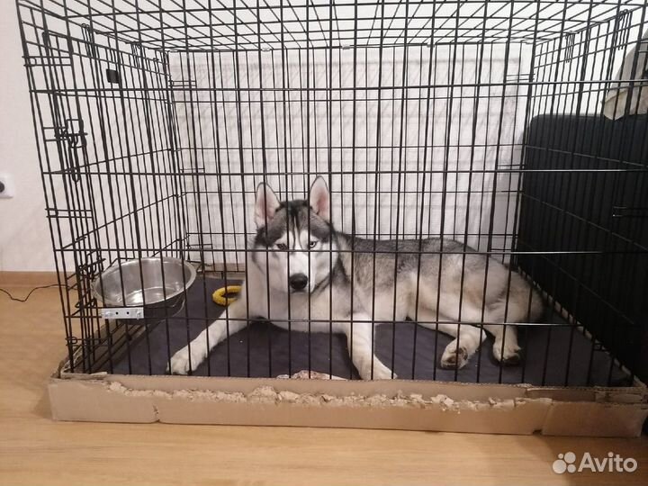 Клетка для собаки (108х72х77) Клетка №5