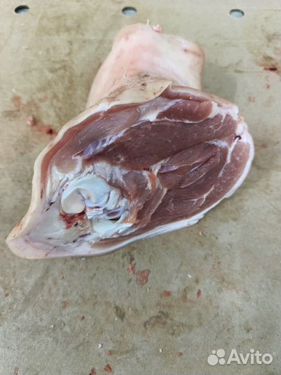 Рулька свиная