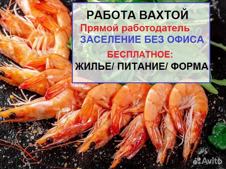 Упаковщик/ца вахта с проживание+ горячие обеды