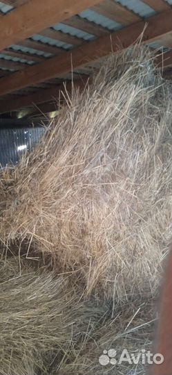 Сено в тюках