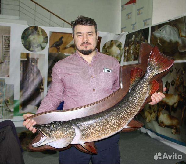 Трофеи из рыб любых видов и размеров