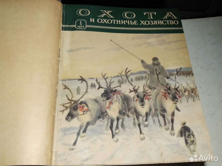 Охота и охотничье хозяйство 1957г