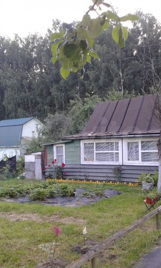 Участок 6,2 сот. (СНТ, ДНП)