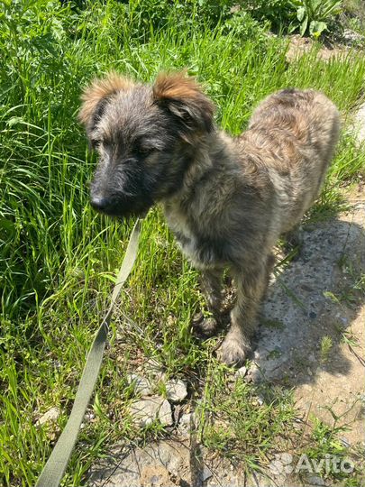 Отличный парнишка