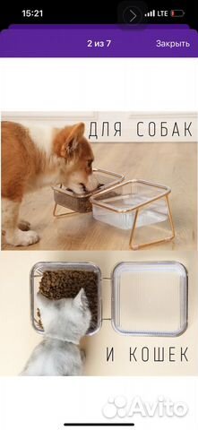 Стильная миска для кошек и собак двойная новая