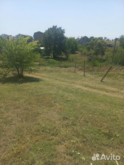 Покос травы триммером, спил деревьев