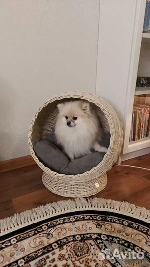 Лежанка для собак и кошек/ Вольер для собак / Будк