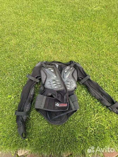 Моточерепаха