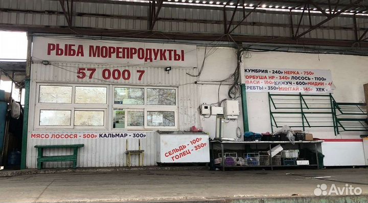 Креветка азовская крупная