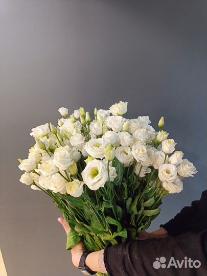 Эустома Букет эустом 3 5 9 11 25 31 шт