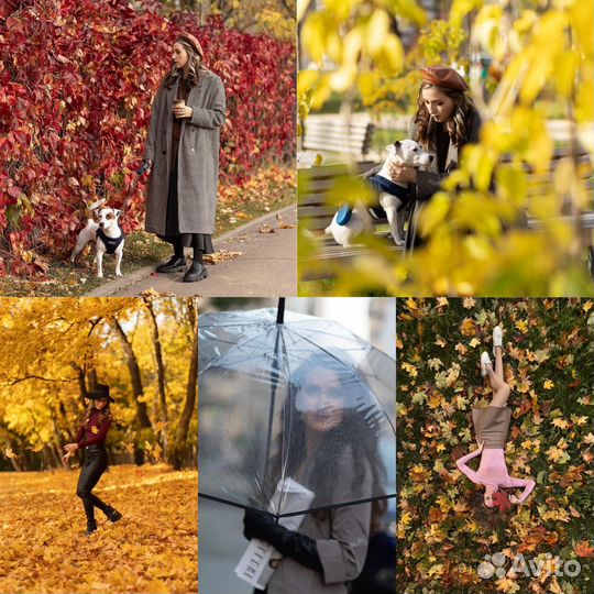 Фотограф (осенние фотосессии)