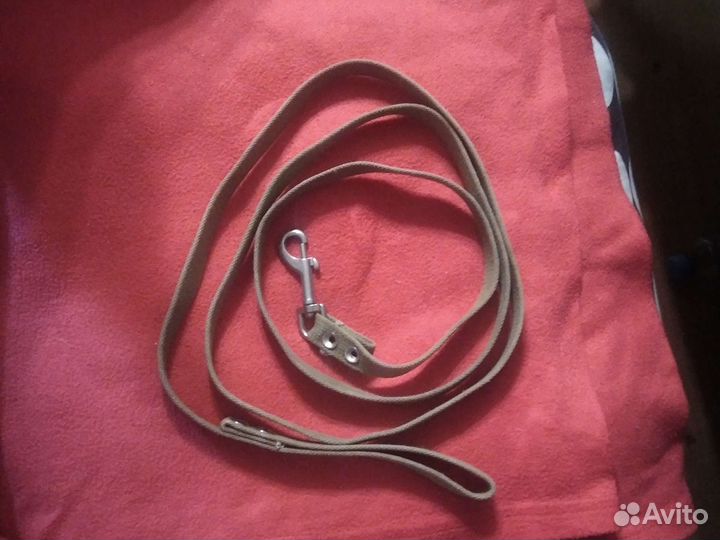 Ошейник для собак и поводок