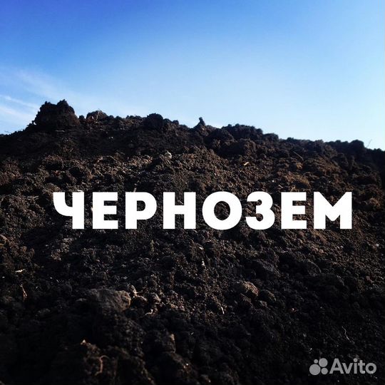 Чернозем