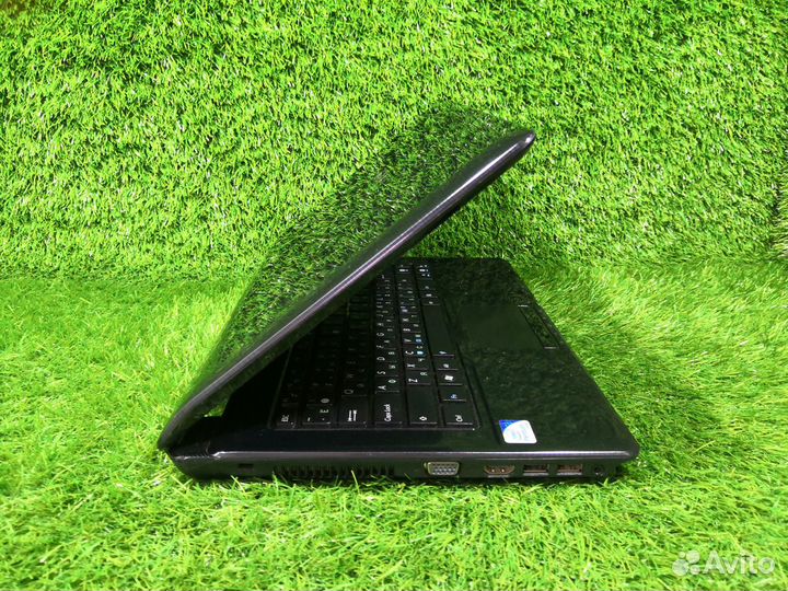 Надёжный Asus для школы и работы. Гарантия